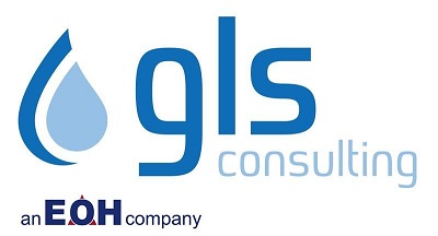 GLS Consulting